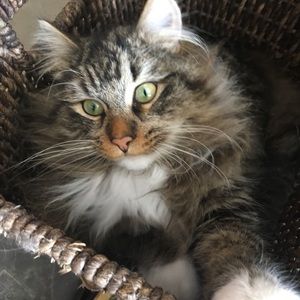 Meet your Posher, Marissa